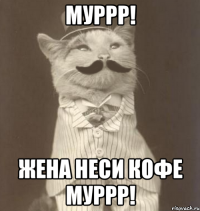 муррр! жена неси кофе муррр!