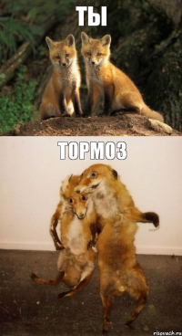 ты тормоз