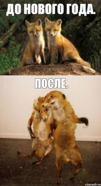 До Нового года. После.