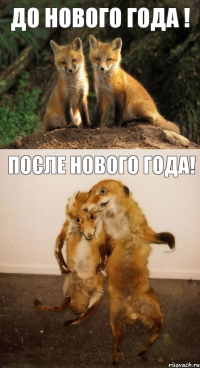 До нового года ! после нового года!
