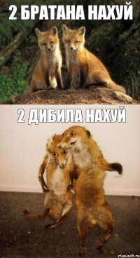 2 братана нахуй 2 дибила нахуй