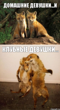 Домашние девушки...и Клубные девушки...