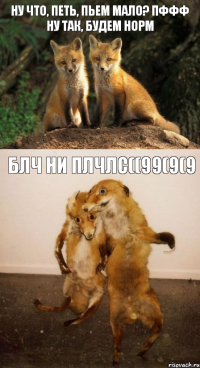 Ну что, петь, пьем мало? Пффф ну так, будем норм БЛЧ НИ ПЛЧЛС((99(9(9