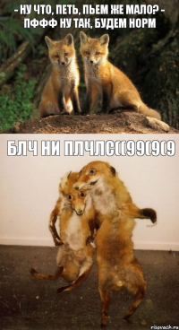 - Ну что, Петь, пьем же мало? - Пффф ну так, будем норм БЛЧ НИ ПЛЧЛС((99(9(9