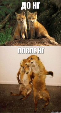 До НГ После НГ