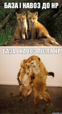 База і Навоз до НР База і Навоз після НР