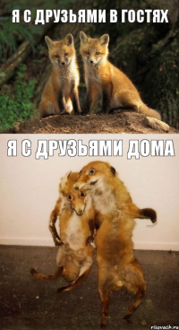 я с друзьями в гостях я с друзьями дома