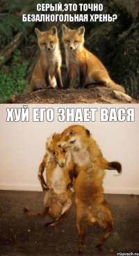 СЕРЫЙ,ЭТО ТОЧНО БЕЗАЛКОГОЛЬНАЯ ХРЕНЬ? ХУЙ ЕГО ЗНАЕТ ВАСЯ