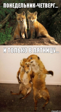 Понедельник-четверг... И только в пятницу...