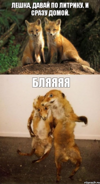 Лешка, давай по литрику. И сразу домой. Бляяяя