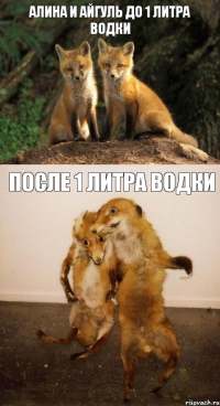 Алина и Айгуль до 1 литра водки после 1 литра водки