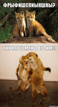 фрыфишспиыншны? ОНИ НАРКОМАНЫ ВАЛИМ!!!