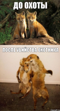 до охоты после убийства охотника