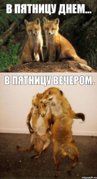 В пятницу днем... В пятницу вечером.