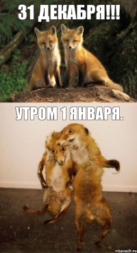 31 декабря!!! Утром 1 января.