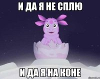 и да я не сплю и да я на коне