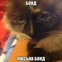 бонд люська бонд