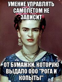 Умение управлять самолётом не зависит от бумажки, которую выдало ООО "Рога и копыты"