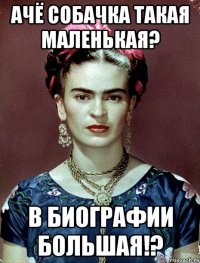ачё собачка такая маленькая? в биографии большая!?