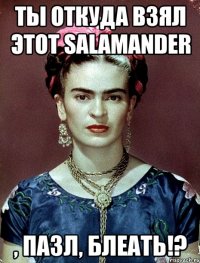 ты откуда взял этот Salamander , пазл, блеать!?