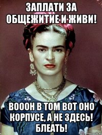 Заплати за общежитие и живи! Вооон в том вот оно корпусе, а не здесь! Блеать!