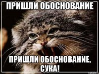 Пришли обоснование Пришли обоснование, сука!