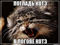 Погладь котэ В логове котэ