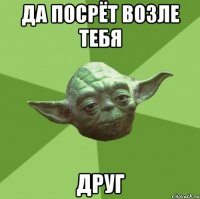 да посрёт возле тебя друг