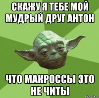 Скажу я тебе мой мудрый друг Антон что макроссы это не читы