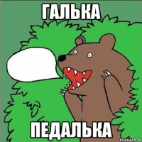 ГАЛЬКА ПЕДАЛЬКА