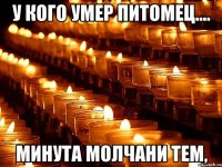 У кого умер питомец.... Минута молчани тем,