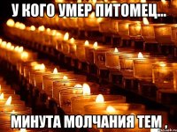 У кого умер питомец... Минута молчания тем ,