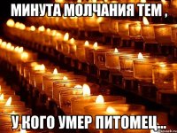 Минута молчания тем , у кого умер питомец...