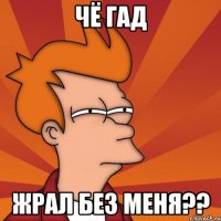 ЧЁ ГАД ЖРАЛ БЕЗ МЕНЯ??