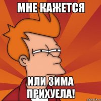 Мне кажется Или зима прихуела!