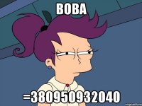 вова =380950932040