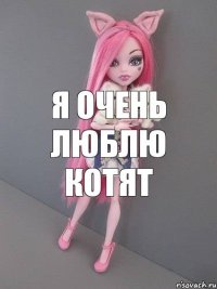 я очень люблю котят