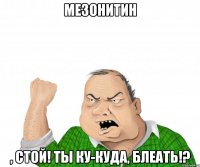 мезонитин , стой! ты ку-куда, блеать!?