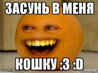 Засунь в меня Кошку :3 :D