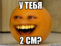 у тебя 2 см?