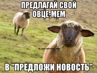 Предлагай свой Овце-мем в "предложи новость"