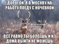 дорогой, я в Москву на работу поеду с ночёвкой всё равно ты болеешь и из дома выйти не можешь