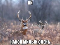 Ой Какой милый олень