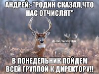 АНДРЕЙ:-"Родин сказал,что нас отчислят" В понедельник пойдем всей группой к директору!!