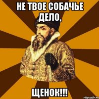 НЕ ТВОЕ СОБАЧЬЕ ДЕЛО, ЩЕНОК!!!