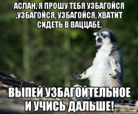 Аслан, я прошу тебя узбагойся ,узбагойся, узбагойся, хватит сидеть в ваццабе, Выпей узбагойтельное и учись дальше!