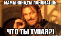 МАМЫКИНА,ты понимаешь, ЧТО ТЫ ТУПАЯ?!