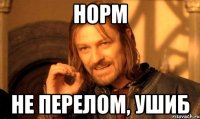 Норм Не перелом, ушиб