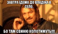Завтра їдемо до владіка в село, бо там свиню колотимуть!!!