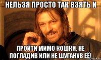 Нельзя просто так взять и пройти мимо кошки, не погладив или не шуганув её!